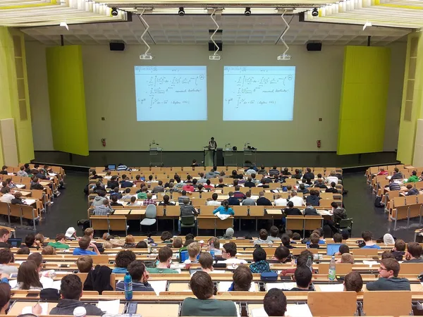 Elementary school students working in class